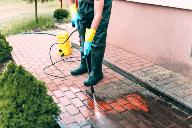 Best Factory Floor Cleaning  in Rushvle, IL