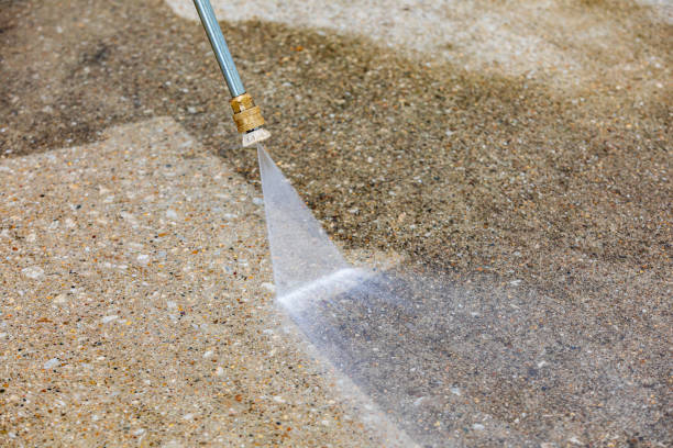 Best Concrete Sealing  in Rushvle, IL